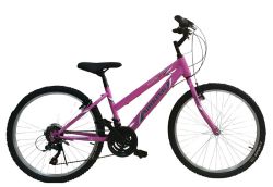 MTB-24-PINK-GREEN